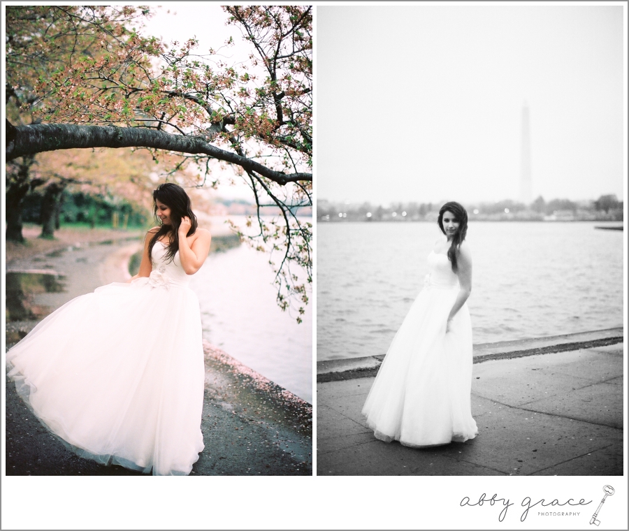 Washington DC cherry blossoms film bridal photography session
