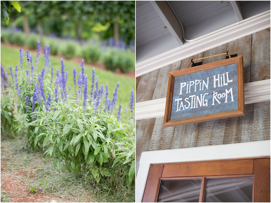 Pippin Hill Farms- Charlottesville wedding photography Abby Grace