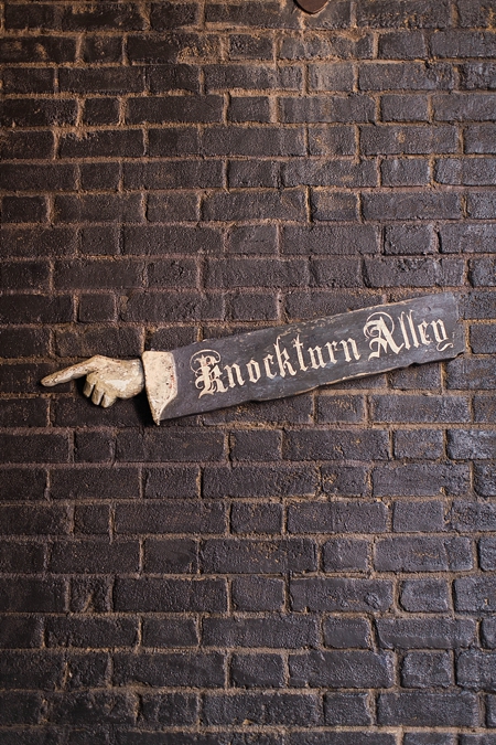 Wizarding World of Harry Potter- Diagon Alley - Abby Grace Photography