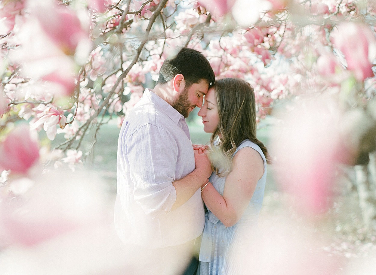 DC cherry blossom engagement session by Abby Grace
