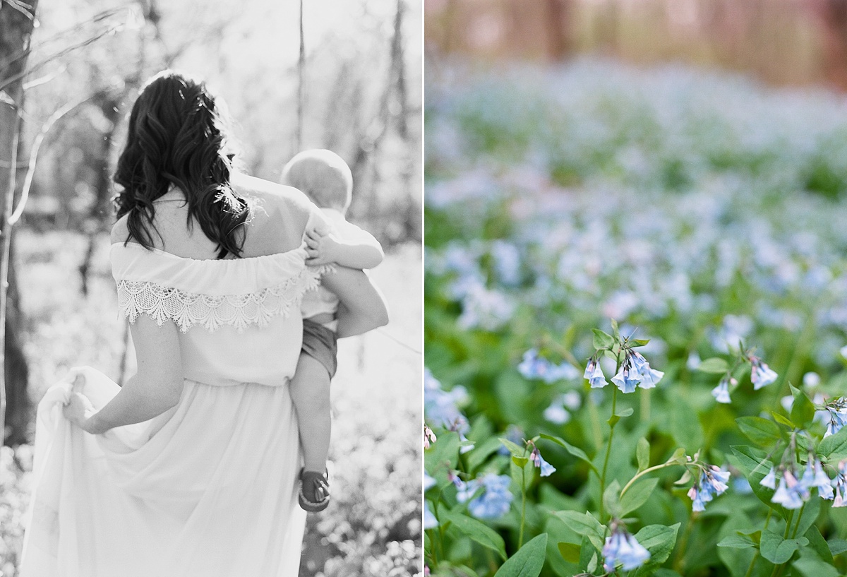 Bluebell portrait session | Abby Grace Photography