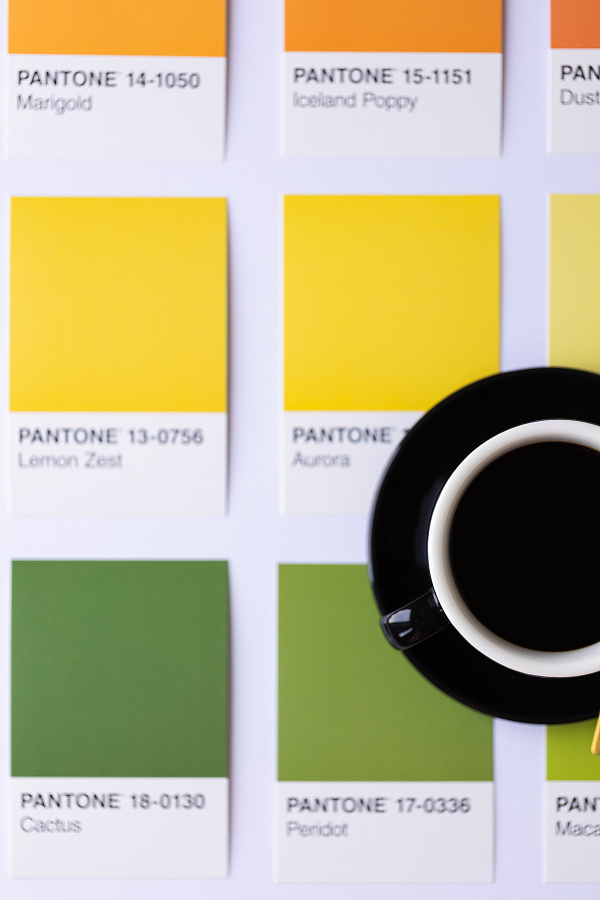 Bold & colorful brand shoot for brand & publication designer Wendy Wade of Weswen Design | Abby Grace Photography