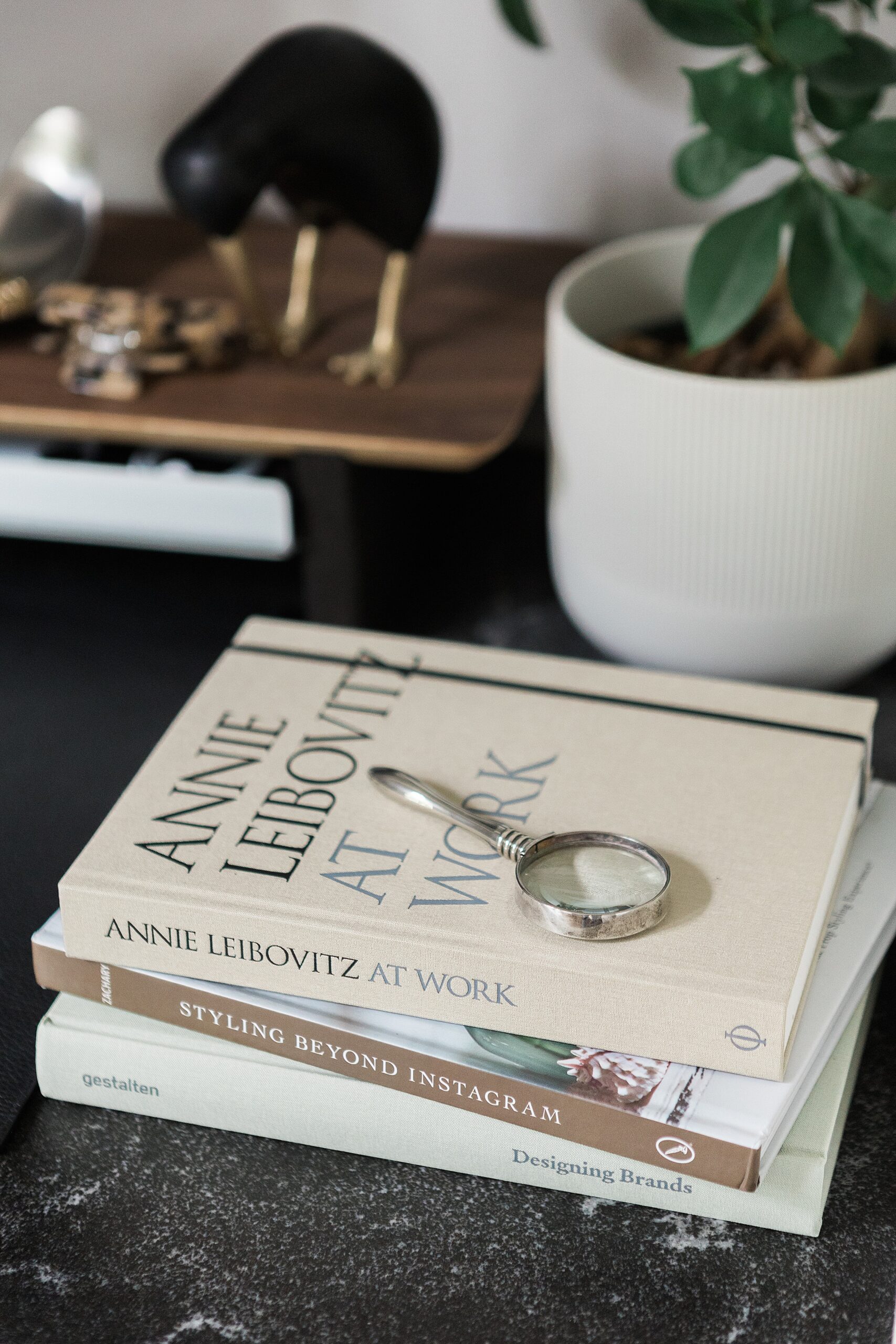 Alexandria Brand Photographer Lisa Scontras | photographed by Abby Grace