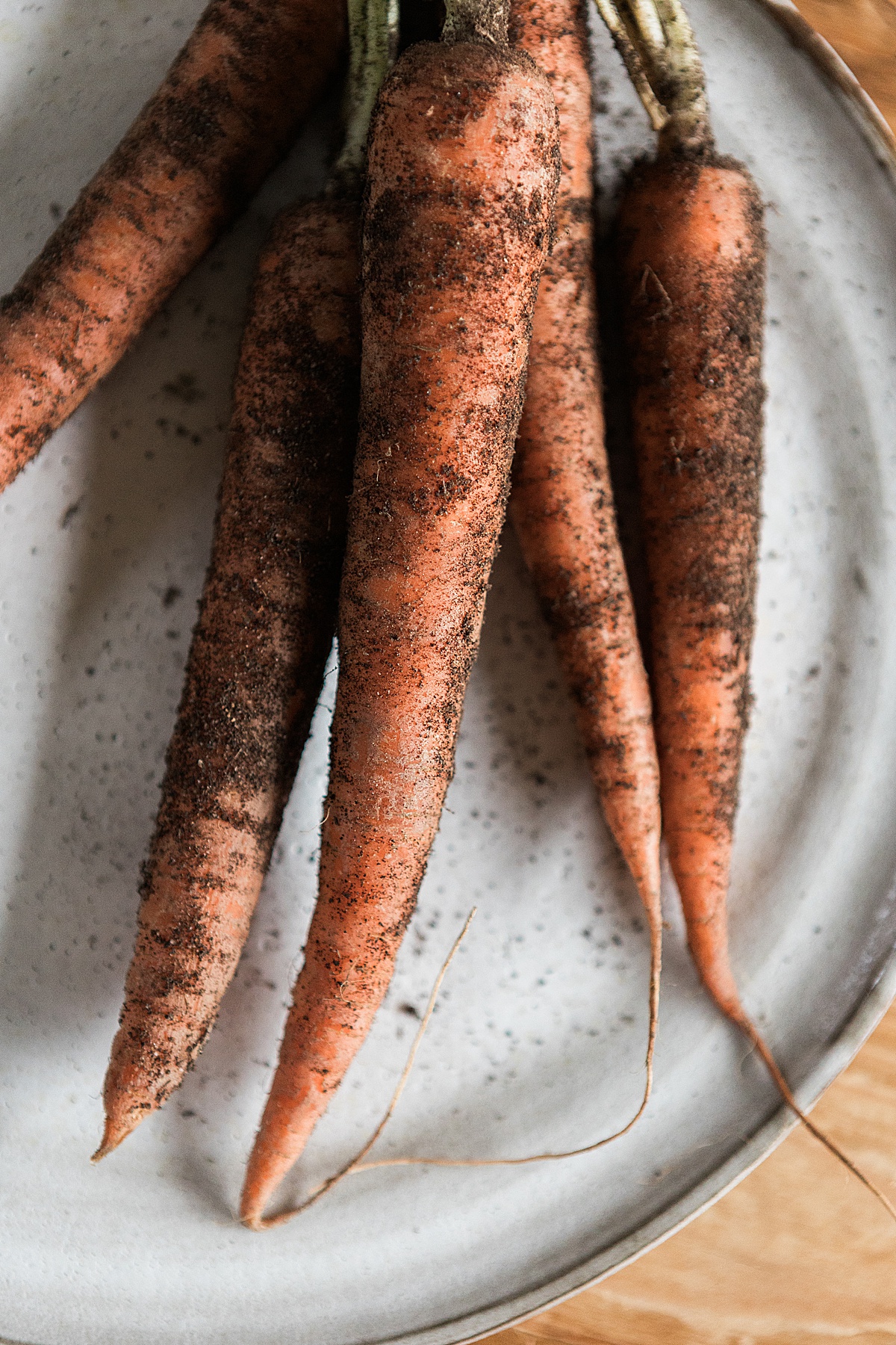 Brand session for functional medicine doctor Dr. Aaron Hartman | by Abby Grace Photography