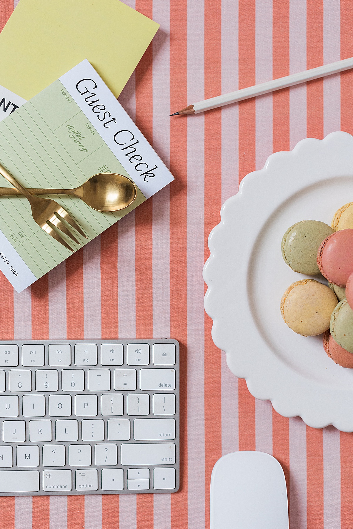 Digital Cravings Brand & Web Studio | Brand photos by Abby Grace Photography