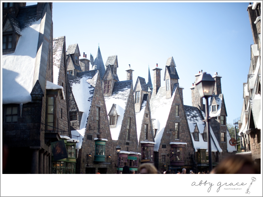 the Wizarding World of Harry Potter Orlando