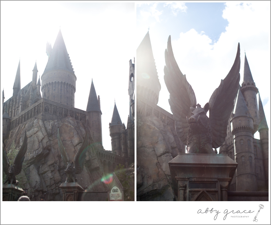 the Wizarding World of Harry Potter Orlando