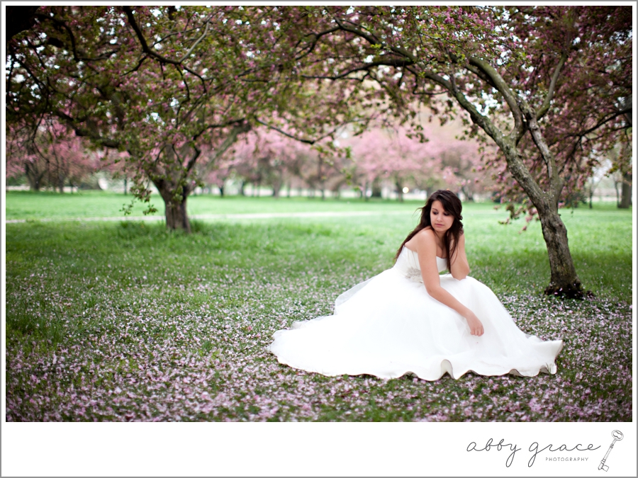 Washington DC Cherry Blossoms bridal photography