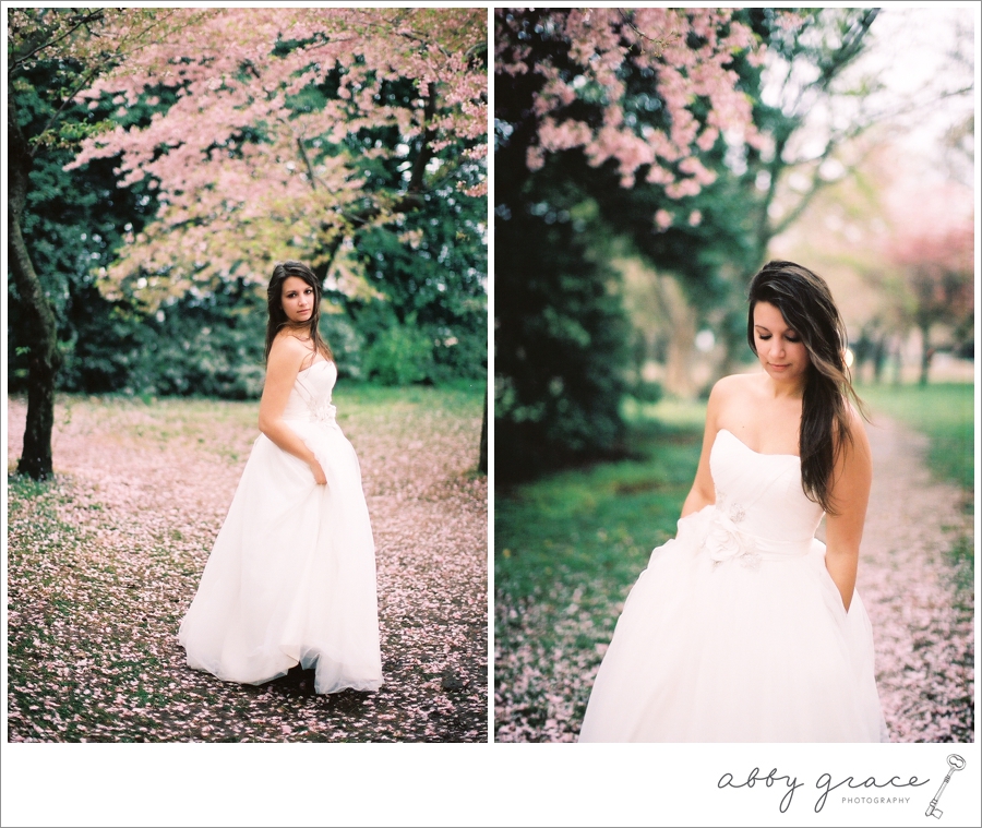 Washington DC cherry blossoms bridal photography