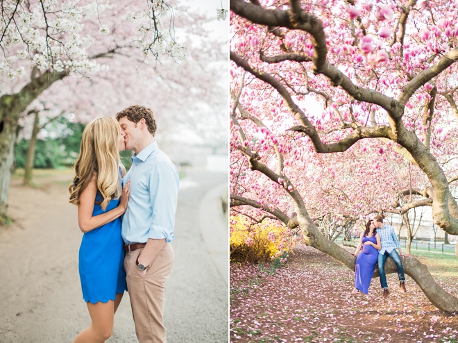 DC cherry blossoms engagement session