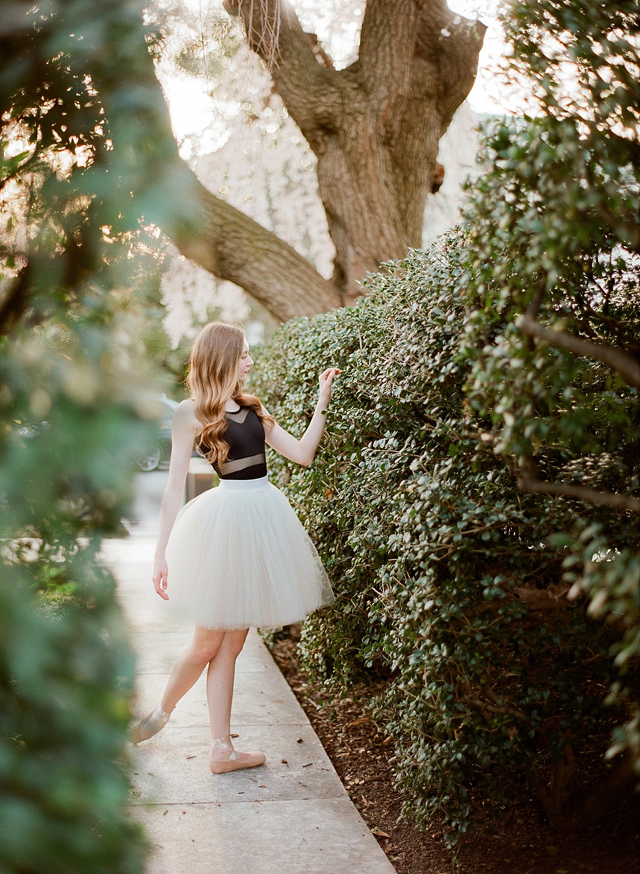 DC ballerina session with the cherry blossoms | Abby Grace