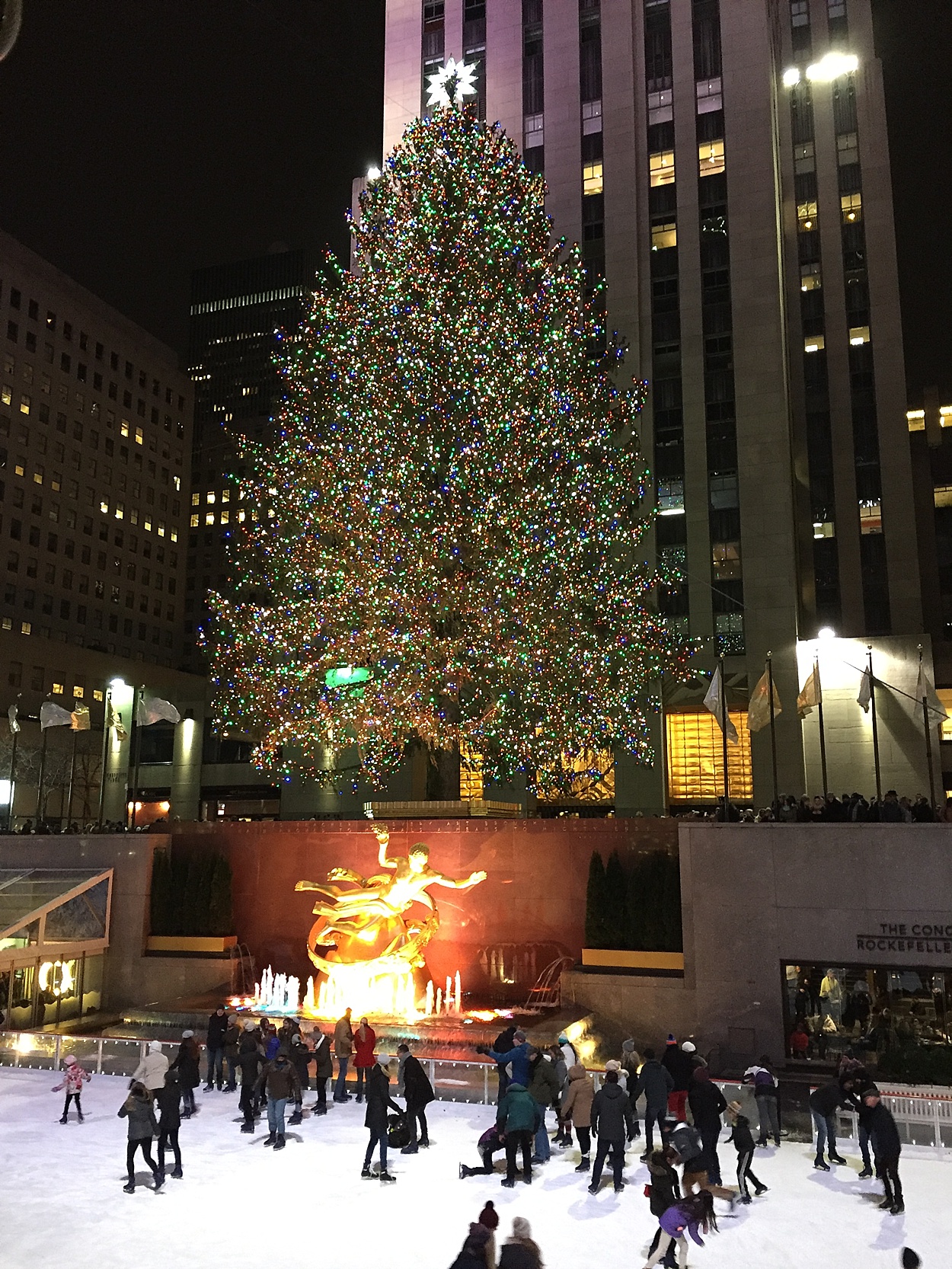 Rockefeller Center Christmas tree | Abby Grace Photography